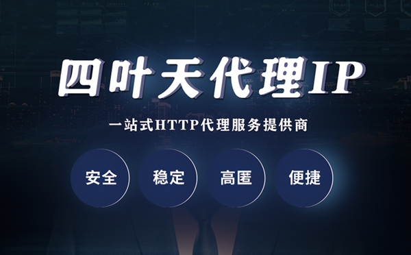 【七台河代理IP】代理ip客户端使用教程