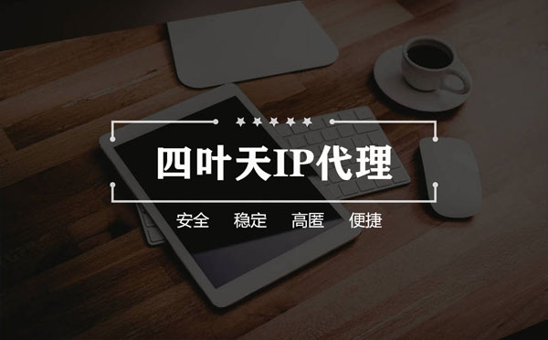 【七台河代理IP】如何快速搭建代理IP？怎么检查代理的效果？