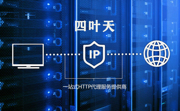 【七台河代理IP】代理IP的主要用途和使用注意事项